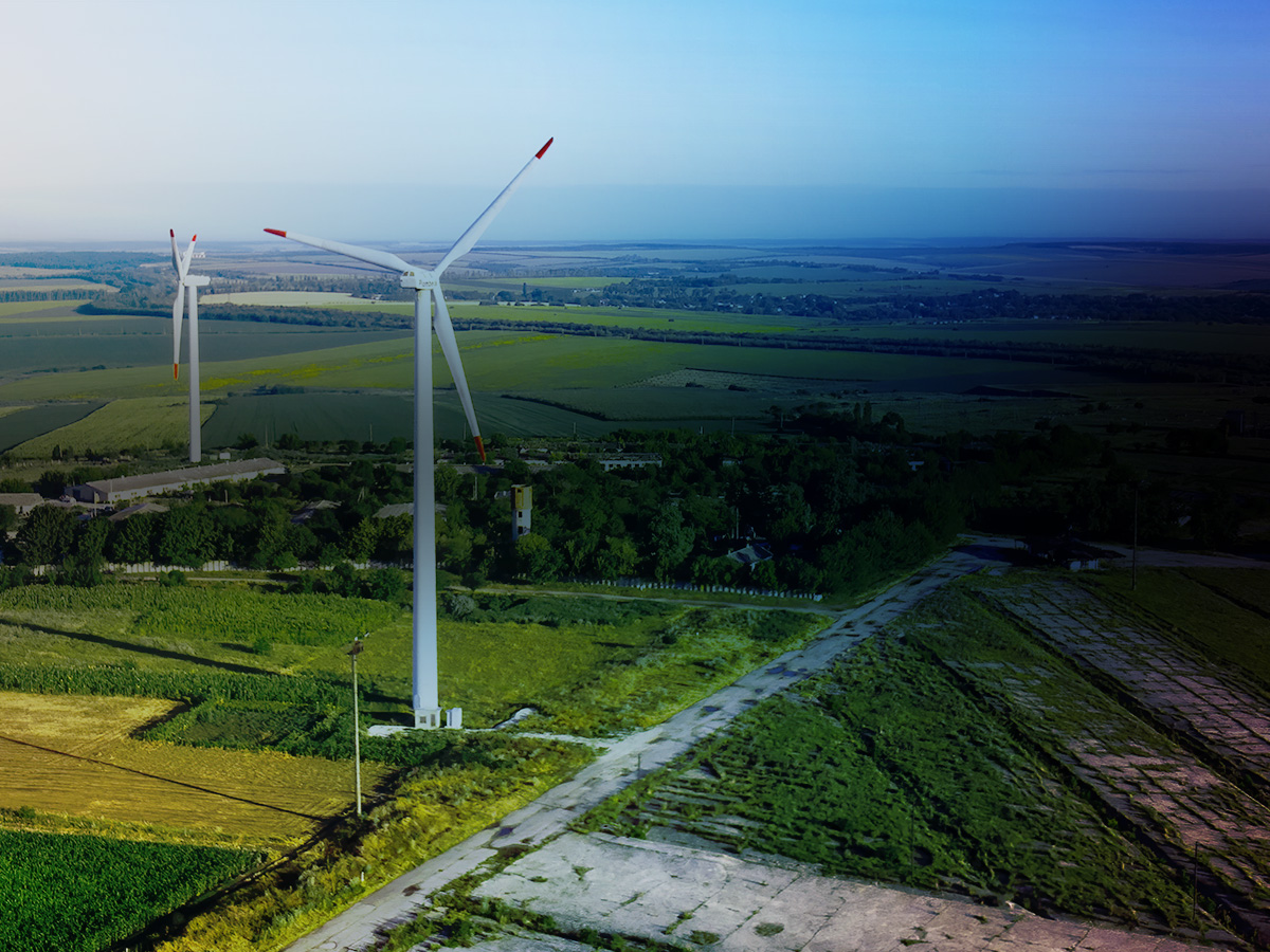 campo de generadores eólicos en un gran bosque